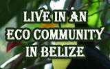 Live in an Eco Community in Belize
